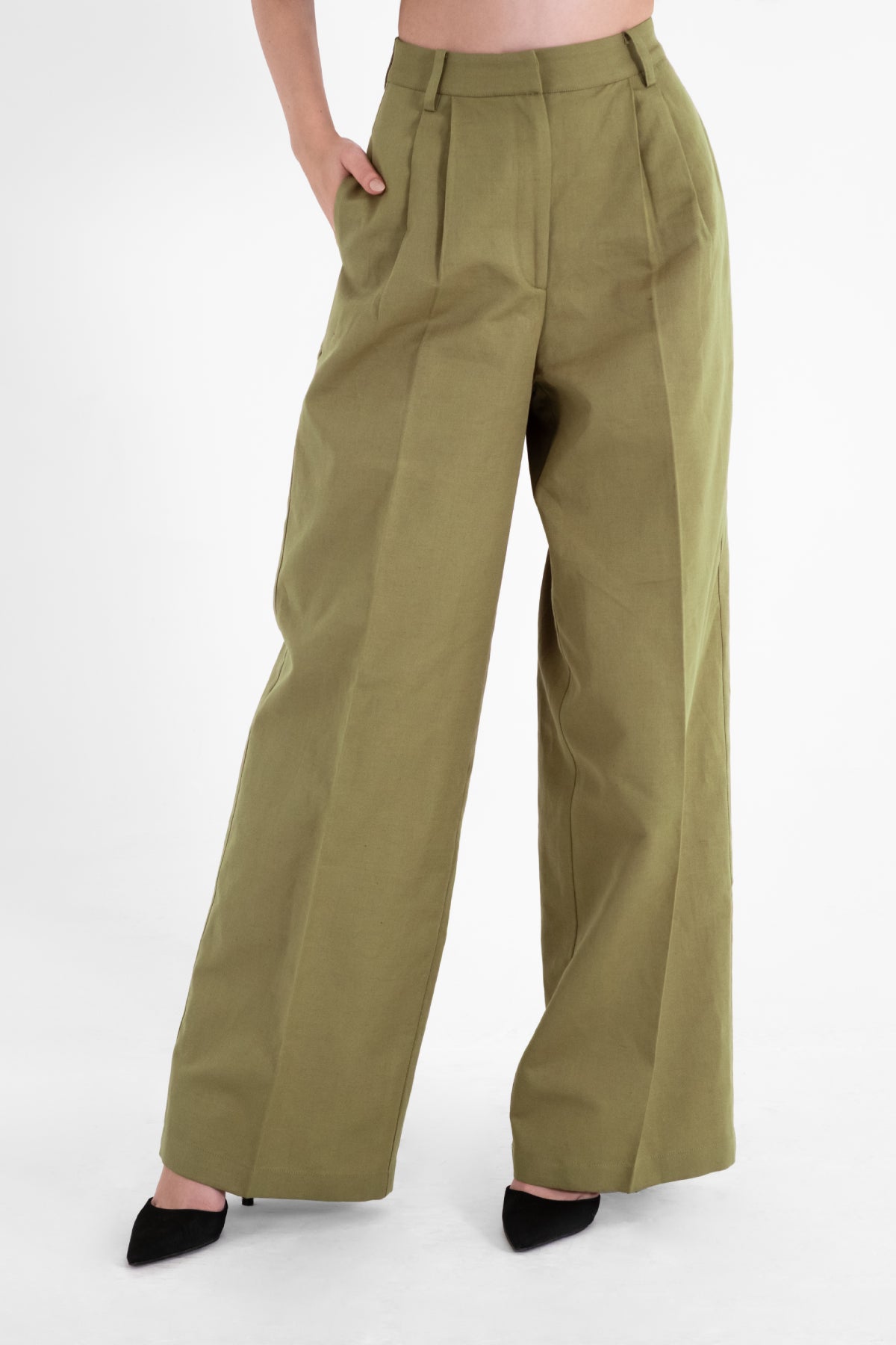 The Pleated Trousers